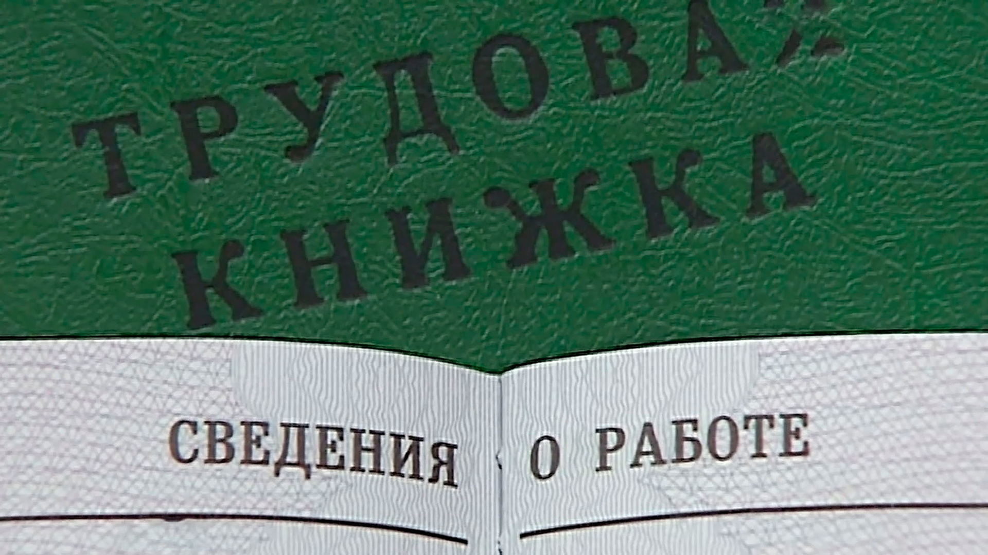 В Краснодарском крае 13,5 тысячи человек хотят стать учеником чародея